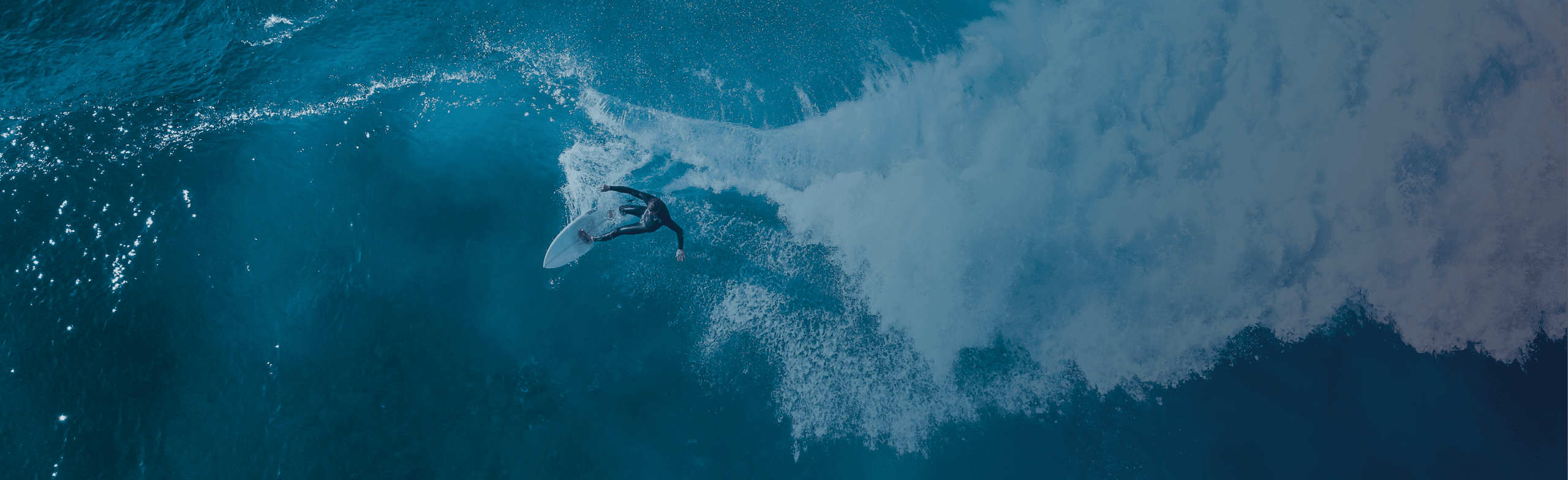 Featured   Roxy Davis  Bg  Desktop